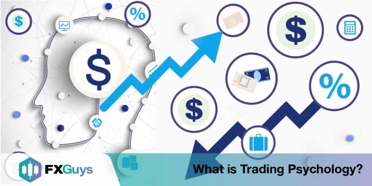 Trading psychology - a look inside the brain